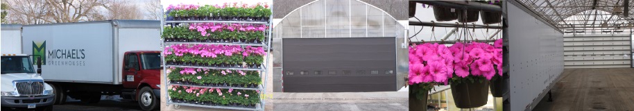 order banner 2