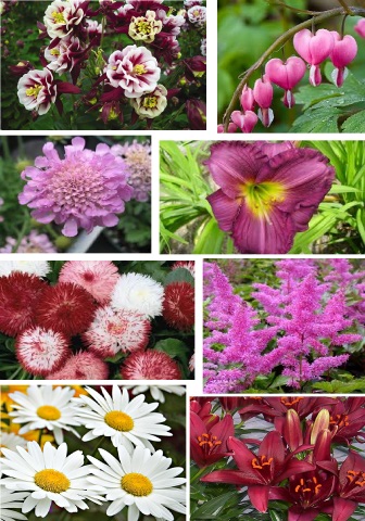 perennial group
